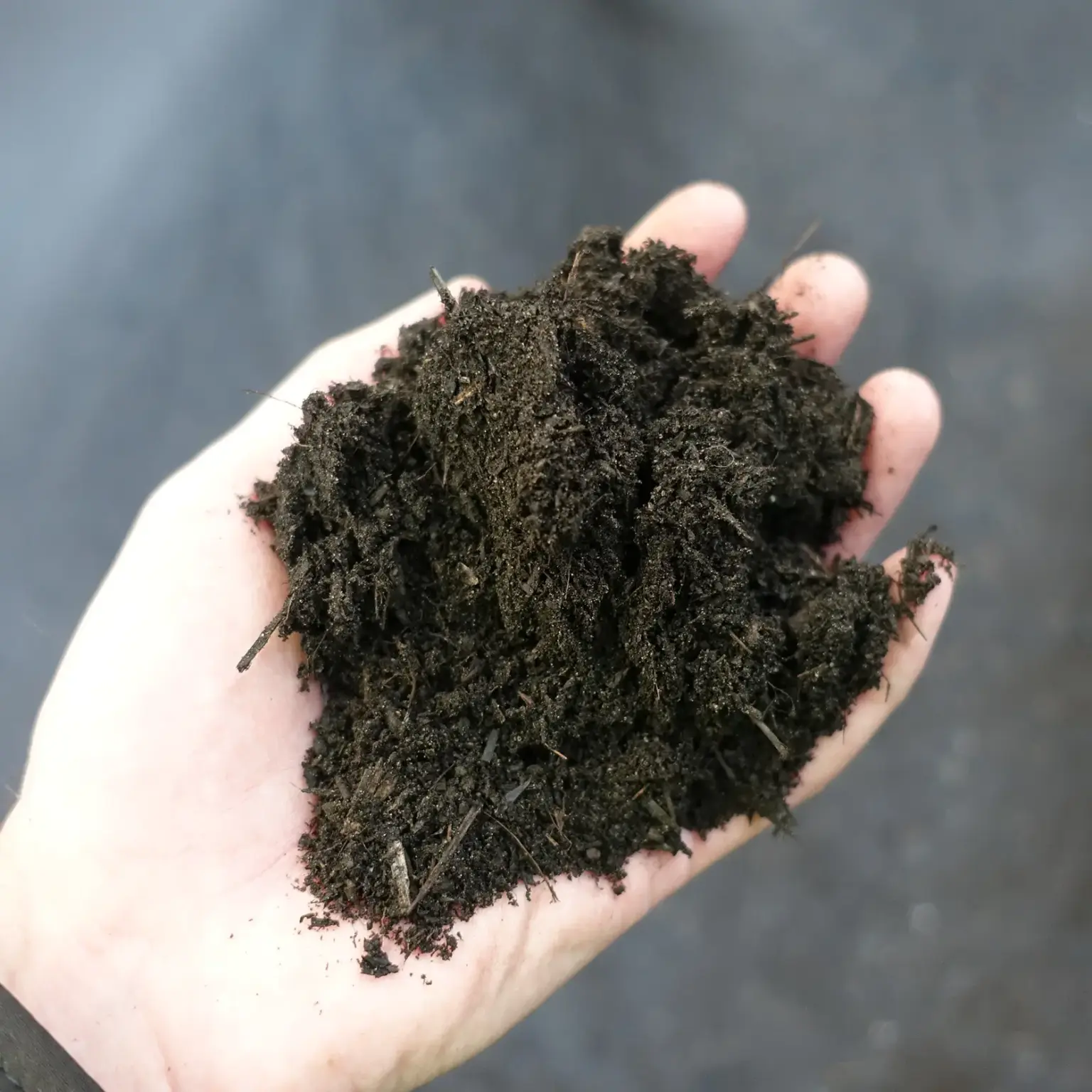 Beste Siebqualität in der Herstellung von hochwertigem Kompost - hier das Endprodukt frei von Langteilen